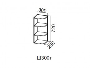 Ш300т/720 Шкаф навесной 300/720 (торцевой) в Кунгуре - kungur.magazin-mebel74.ru | фото