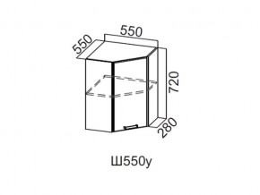 Ш550у/720 Шкаф навесной 550/720 (угловой) в Кунгуре - kungur.magazin-mebel74.ru | фото