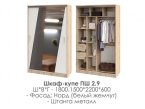 шкаф-купе ПШ-2.9 1500 Норд Белый жемчуг 1500 в Кунгуре - kungur.magazin-mebel74.ru | фото