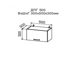 Шкаф верхний ДПГ500 горизонтальный в Кунгуре - kungur.magazin-mebel74.ru | фото