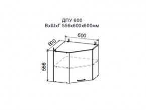Шкаф верхний ДПУ600 угловой в Кунгуре - kungur.magazin-mebel74.ru | фото
